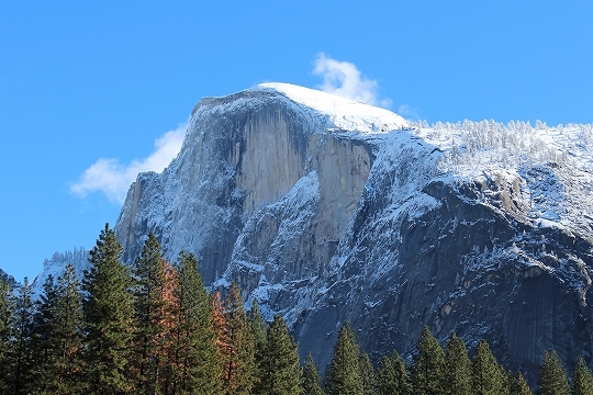 c0153302_13564835.jpg