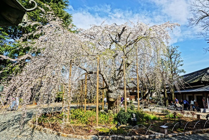 c0187503_2354334.jpg