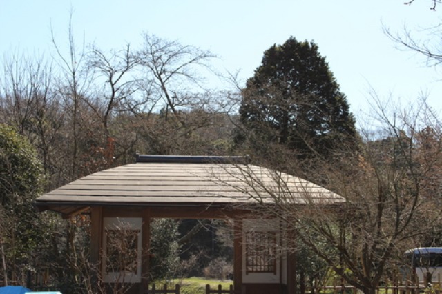 c0178009_1134719.jpg