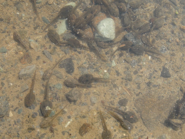 f0231709_17403853.jpg