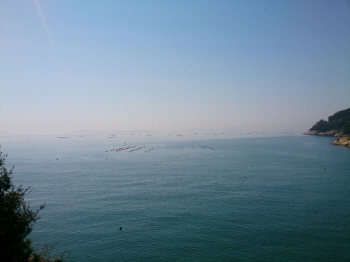 c0352015_20463601.jpg