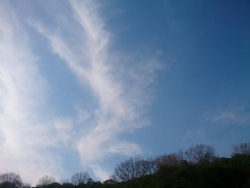 c0352015_20463698.jpg