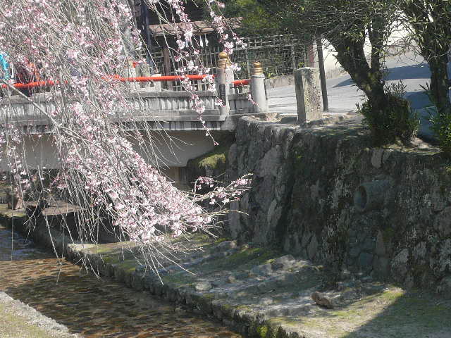 e0026017_21385329.jpg