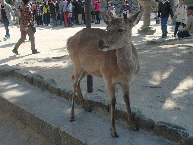 e0026017_21395763.jpg