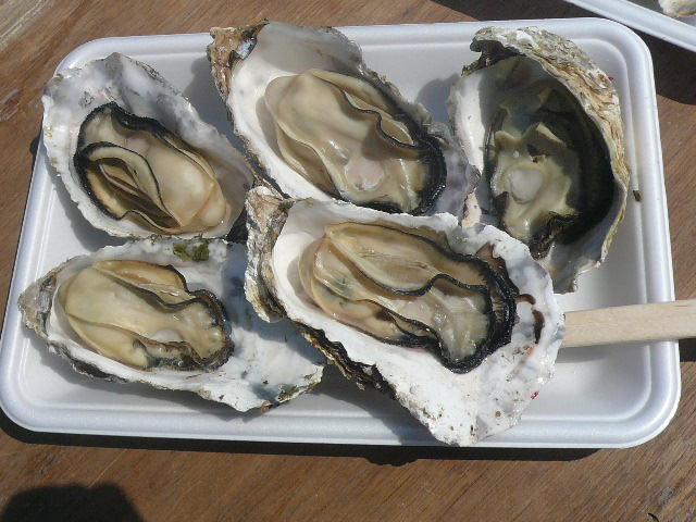e0026017_21422724.jpg