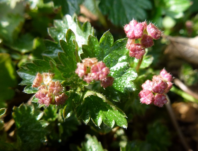 c0042418_8272239.jpg