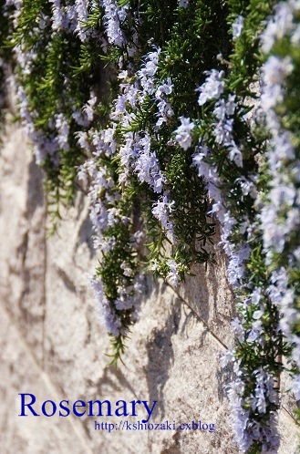 c0235725_22513522.jpg