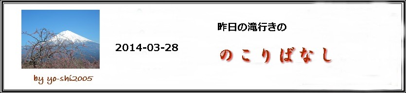 e0033229_205574.jpg