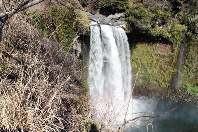 e0033229_21322421.jpg