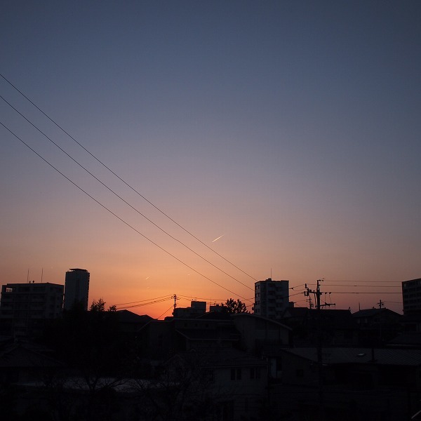 a0148431_22071128.jpg