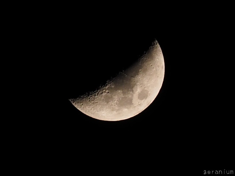 c0133533_159158.jpg
