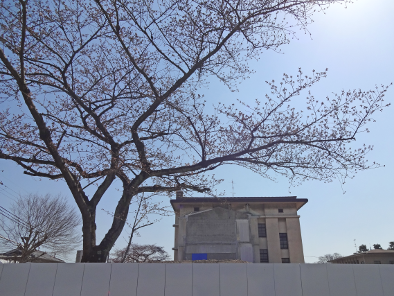 c0184737_22144178.png