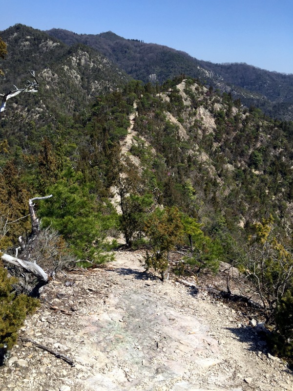 b0057140_20285270.jpg