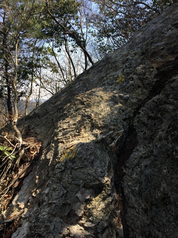 b0057140_20315992.jpg