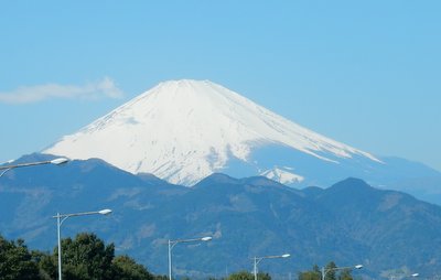 a0142343_8155877.jpg