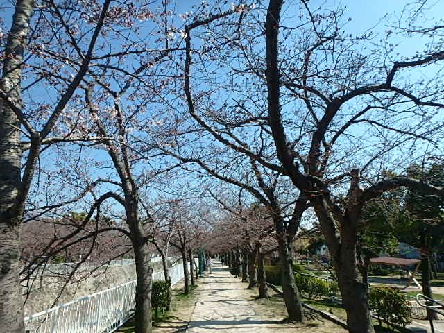 f0334143_12281793.jpg