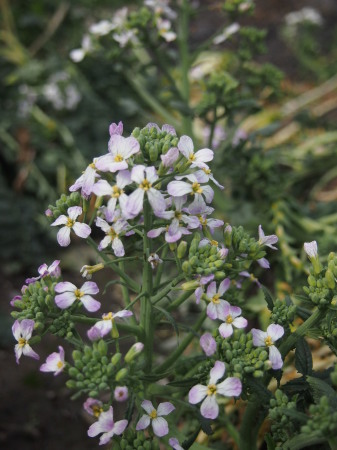 b0246758_21075140.jpg
