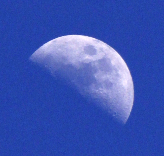 a0248459_19185430.jpg