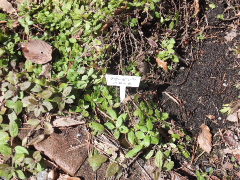 e0088260_10190276.jpg