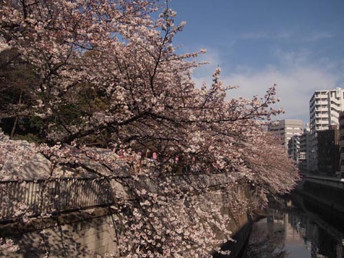 c0011862_23221436.jpg