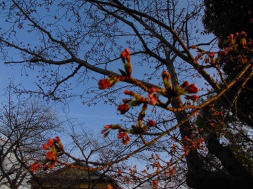 e0002466_18312060.jpg