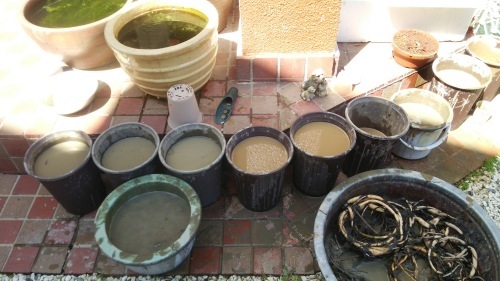 c0144868_17363651.jpg
