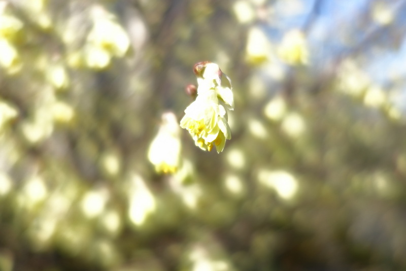 c0216472_17151045.jpg