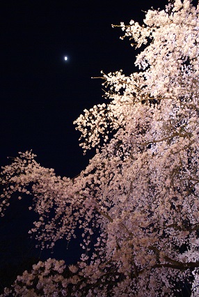 e0036980_23443031.jpg