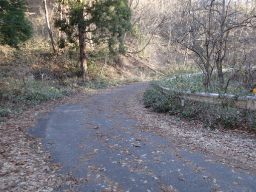 a0279883_09285336.jpg