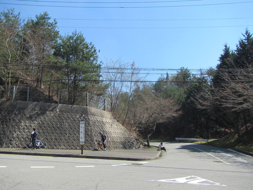 a0251786_21432758.jpg