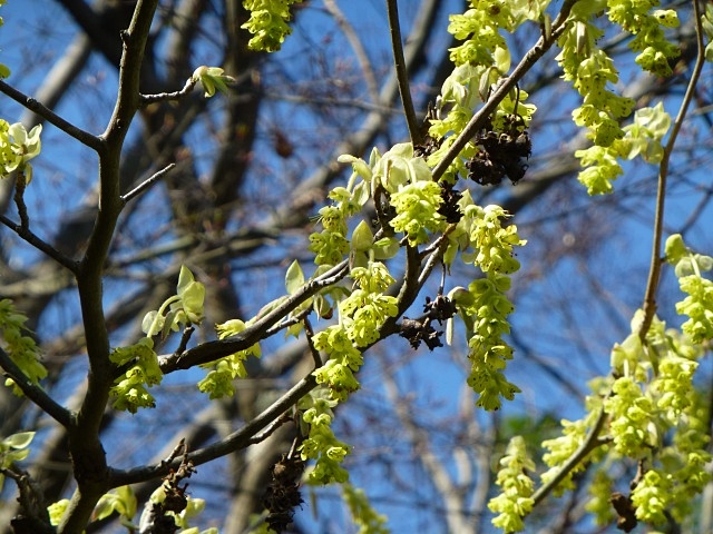 f0357487_2347526.jpg