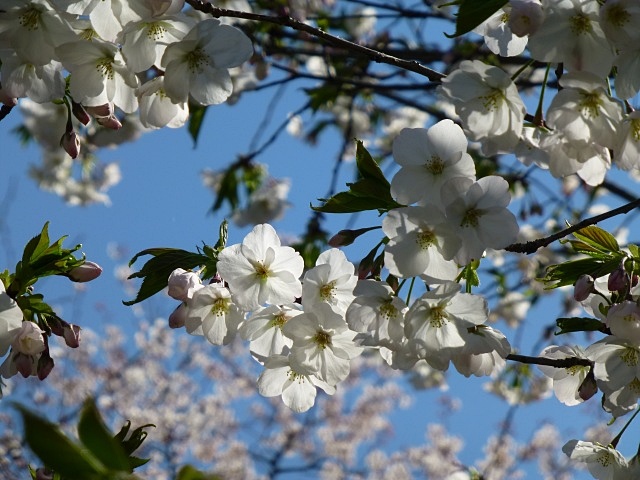 f0357487_23493838.jpg
