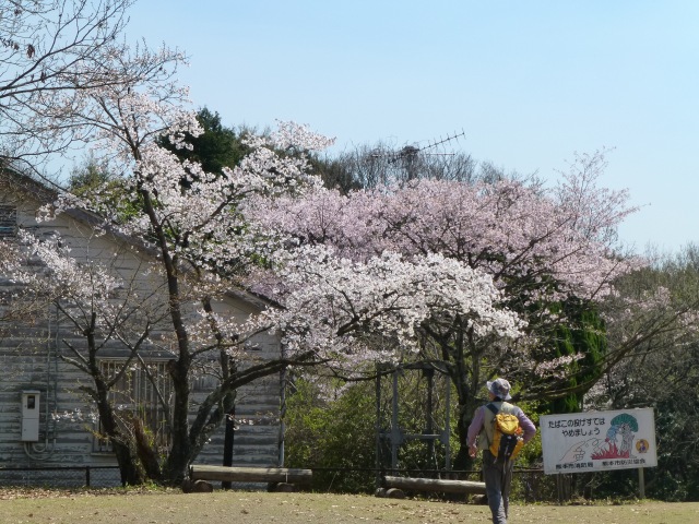 f0357487_23544692.jpg
