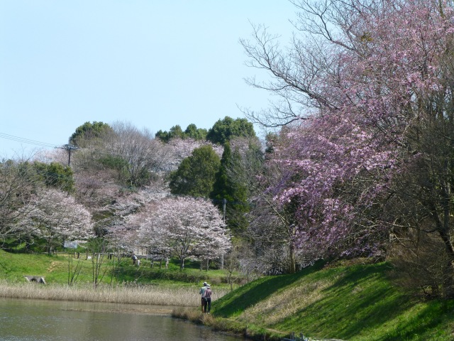 f0357487_23553626.jpg