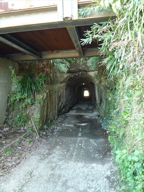 b0287088_17172816.jpg