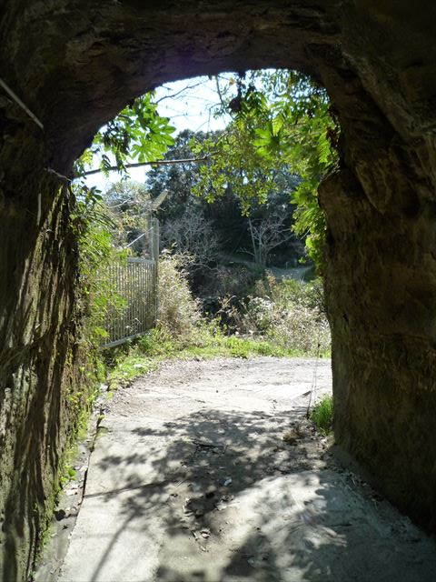 b0287088_17201687.jpg