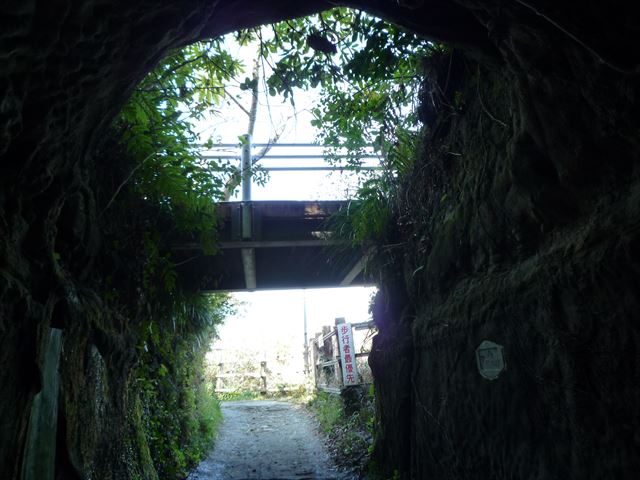 b0287088_17362681.jpg