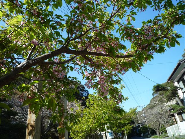 b0287088_1920815.jpg