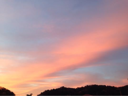 f0298891_144412.jpg