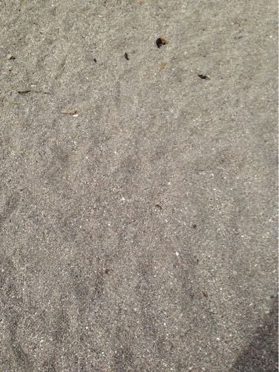 f0298891_145930.jpg