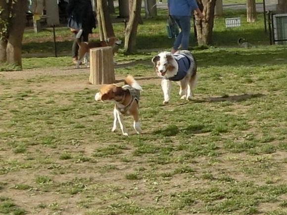 a0319693_2345049.jpg