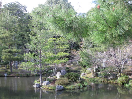 f0010195_104691.jpg
