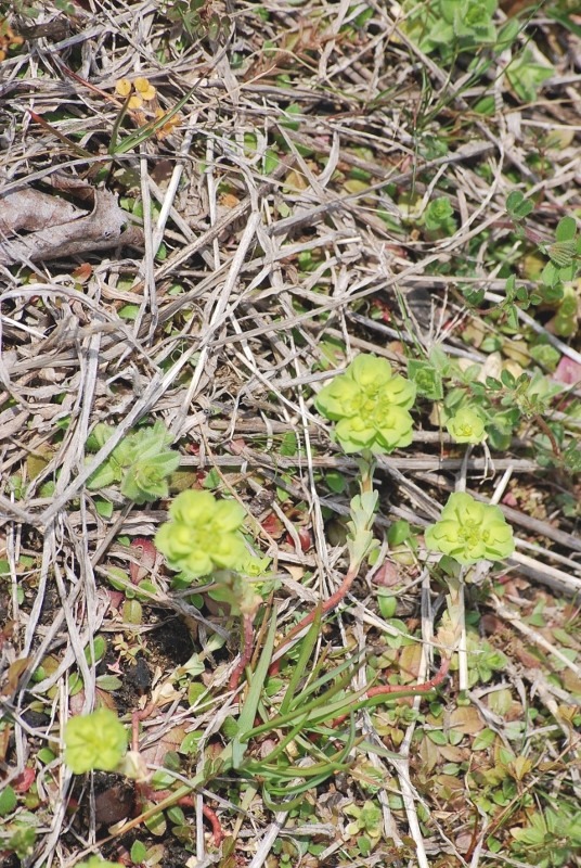 e0025300_17471859.jpg