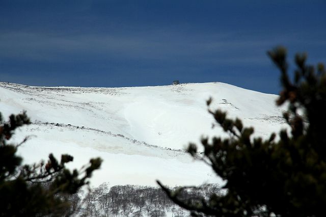 e0137200_2010326.jpg