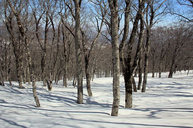 e0137200_2010473.jpg