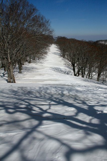 e0137200_2011154.jpg