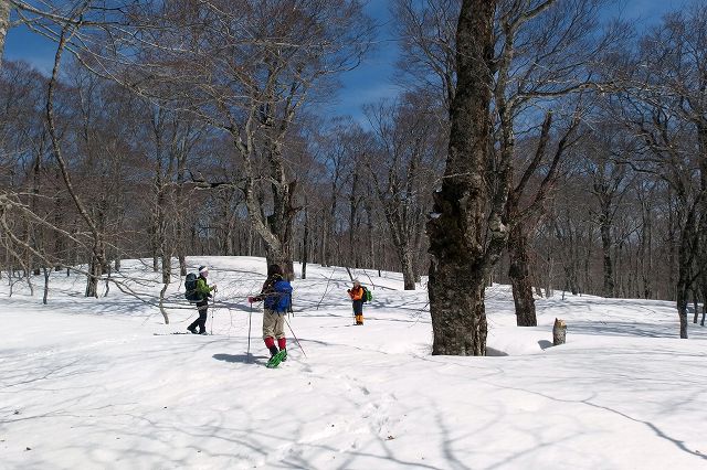 e0137200_20112612.jpg