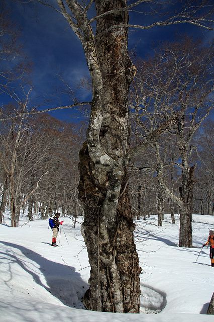 e0137200_20113793.jpg