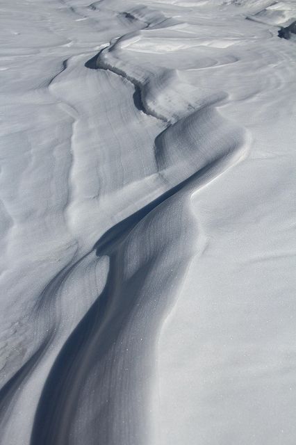 e0137200_2011432.jpg