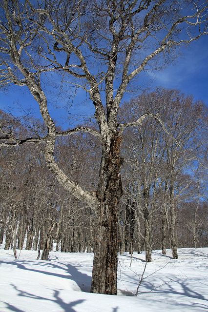 e0137200_20114985.jpg